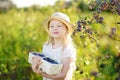 Cute little girl picking fresh berries on organic blueberry farm on warm and sunny summer day. Fresh healthy organic food for kids Royalty Free Stock Photo