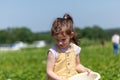 Cute little girl picking fresh strawberries on organic strawberry farm in summer Royalty Free Stock Photo