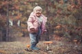 Cute little girl picking mushrooms in summer forest, looks at non edible poisonous mushrooms toadstools in forest, kids Royalty Free Stock Photo