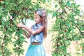 Cute little girl picking up apples in garden Royalty Free Stock Photo