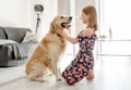 Cute little girl playing with beautiful goden retriever dog