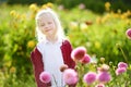 Cute little girl playing in blossoming dahlia field. Child picking fresh flowers in dahlia meadow on sunny summer day Royalty Free Stock Photo