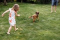 A cute little girl is playing with her pet dog outdooors on grass at home Royalty Free Stock Photo