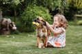 A cute little girl is playing with her pet dog outdooors on grass at home Royalty Free Stock Photo