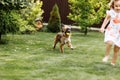 A cute little girl is playing with her pet dog outdooors on grass at home. selective focus Royalty Free Stock Photo