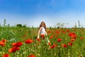 Cute little girl playing in red poppies field summer day, beauty Royalty Free Stock Photo
