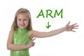 Cute little girl pointing her arm in body parts learning English words at school