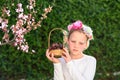 Cute little girl posing with fresh fruit in the sunny garden. Little girl with basket of grapes. Royalty Free Stock Photo