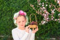 Cute little girl posing with fresh fruit in the sunny garden. Little girl with basket of grapes. Royalty Free Stock Photo