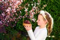 Cute little girl posing with fresh fruit in the sunny garden. Little girl with basket of grapes. Royalty Free Stock Photo