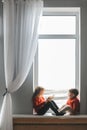 Cute little girl reading book for her two year old brother Royalty Free Stock Photo