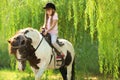 Cute little girl riding pony in park Royalty Free Stock Photo