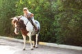 Cute little girl riding pony in park Royalty Free Stock Photo