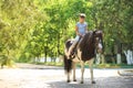 Cute little girl riding pony in park Royalty Free Stock Photo