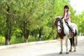 Cute little girl riding pony in park Royalty Free Stock Photo