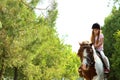 Cute little girl riding pony in park Royalty Free Stock Photo