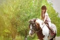 Cute little girl riding pony in park Royalty Free Stock Photo