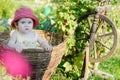 A cute little girl sits on a hay in a basket in the garden Royalty Free Stock Photo