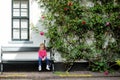 Cute little girl sitting on a bench by giant blossoming rose bush by a house in a typical Amsterdam street, Netherlands Royalty Free Stock Photo