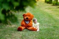 Cute little girl sitting on green grass with big Teddy bear in yellow summer dress in summer, a place for text Royalty Free Stock Photo