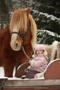 Cute little girl sitting in the sledges and big palomino draught Royalty Free Stock Photo