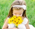 Cute little girl smelling flowers on the meadow Royalty Free Stock Photo