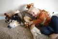 A Young Child is Smiling Happily as she Hugs her Pet German Shepherd Dog and her toy Giraffes