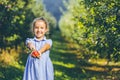 Cute little girl stands over blurred autumn garden background, extending big red apple in her palms to the camera Royalty Free Stock Photo