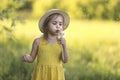 Cute little girl in a straw hat blowing on a dandelion flower on the nature in the summer. Child having activity fun Royalty Free Stock Photo
