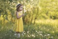 Cute little girl in a straw hat blowing on a dandelion flower on the nature in the summer. Child having activity fun Royalty Free Stock Photo