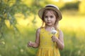 Cute little girl in a straw hat blowing on a dandelion flower on the nature in the summer. Child having activity fun Royalty Free Stock Photo