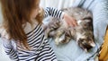 Cute little girl stroking her pet cat at home Royalty Free Stock Photo