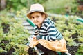Cute little girl taking care of her garden.The girl looks like strawberries harvest ripens. Happy childhood. Contryside.