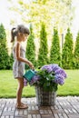 Cute little girl watering purple hydrangea flowers from a watering can in the garden Royalty Free Stock Photo