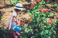 Cute little girl watering rose flowers in the garden Royalty Free Stock Photo