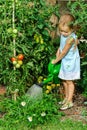 Cute little girl watering tomato and flowers in the backyard Royalty Free Stock Photo