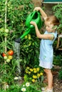 Cute little girl watering tomato and flowers in the backyard Royalty Free Stock Photo