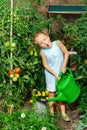 Cute little girl watering tomato and flowers in the backyard Royalty Free Stock Photo