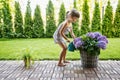 Cute little girl 4-5 years old watering hydrangea flowers from a watering can in the garden Royalty Free Stock Photo