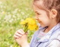 Cute little girl with yellow dandelions on a sunny day on a green nature background. Summer joy - a beautiful girl with Royalty Free Stock Photo