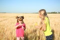 Cute little girls blowing soap bubbles in wheat field on sunny day Royalty Free Stock Photo