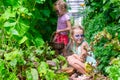 Cute little girls collect crop cucumbers in the