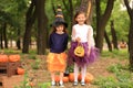 Cute little girls dressed for Halloween in autumn park