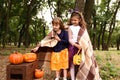 Cute little girls with Halloween pumpkins in autumn park Royalty Free Stock Photo