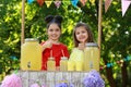 Cute little girls at lemonade stand. Summer refreshing natural drink Royalty Free Stock Photo