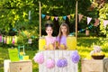 Cute little girls at lemonade stand. Summer refreshing natural drink Royalty Free Stock Photo