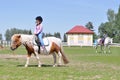 Cute little girls riding horses in the meadow