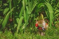 Cute gnome garden model