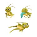 Cute Little Grasshopper Character Sitting, Chewing Leaf and Jumping Vector Set Royalty Free Stock Photo