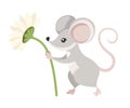 Cute little gray mouse holds a flower. Cartoon animal character design. Flat vector illustration isolated on white background